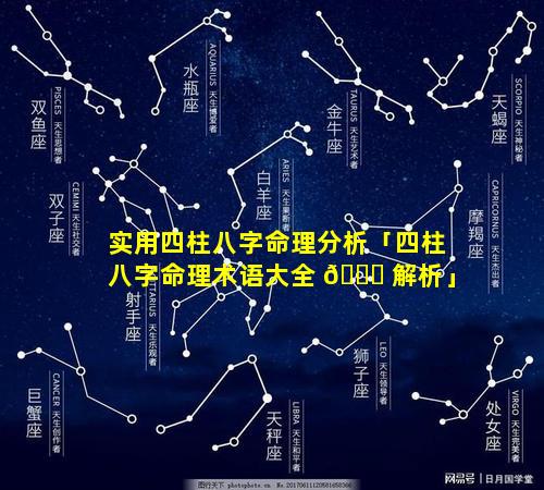 实用四柱八字命理分析「四柱八字命理术语大全 🐒 解析」